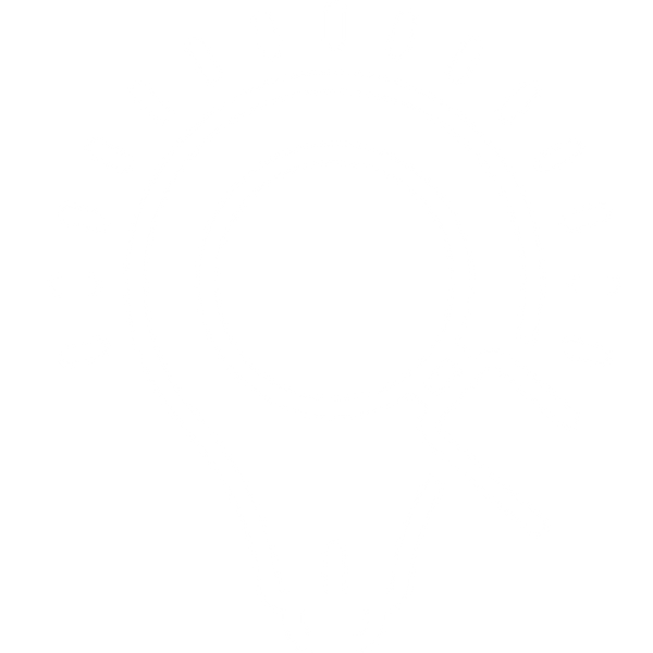 lightbulb icon white